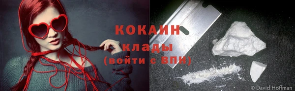гидра Алексин
