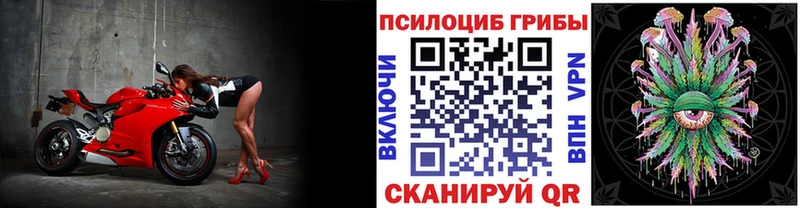 ОМГ ОМГ Луза Псилоцибиновые грибы прущие грибы